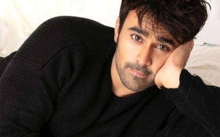 From Agra to National Heartthrob: The Rise of Pearl V Puri