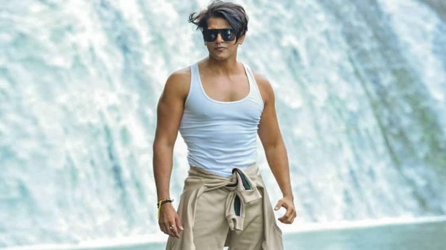 The Multifaceted Journey of Karanvir Bohra Through Indian Television and Film