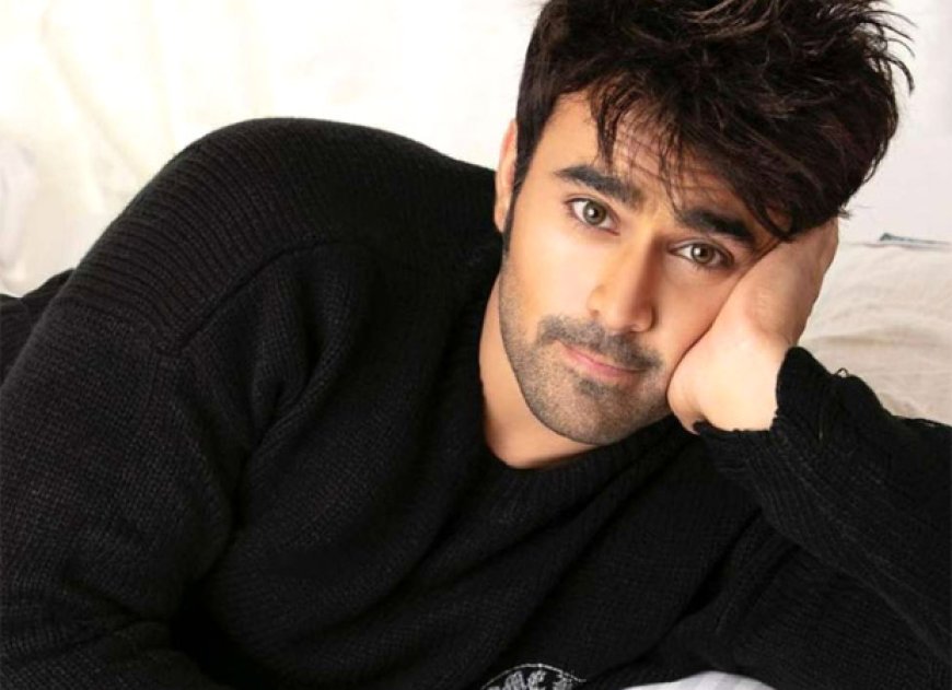 From Agra to National Heartthrob: The Rise of Pearl V Puri