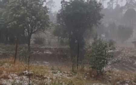 Rainfall Brings Relief to Uttarakhand Forest Department Amid Rising Fire Threats