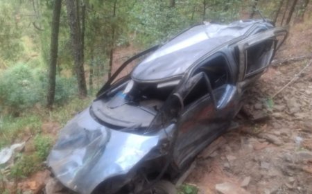 Car Falls Into Gorge Near Jainti, Two Dead, One Injured