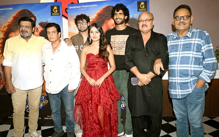 Nostalgia Meets New Talent: Romantic Drama ‘Dil Deewana Ho Gaya’ Sets July 31 Release with Fresh Faces