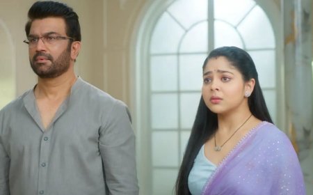 Tumm Se Tumm Tak Spoilers: Meera’s Calculated Plot Endangers Arya and Anu’s Future in the Vardhan Household