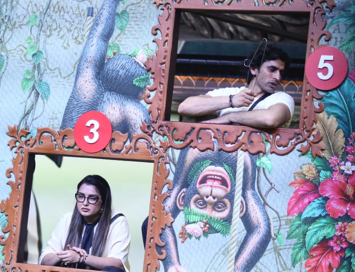 Bhojpuri Superstar Aamrapali Dubey Claims Third Spot in Bigg Boss 20 Ranking Task