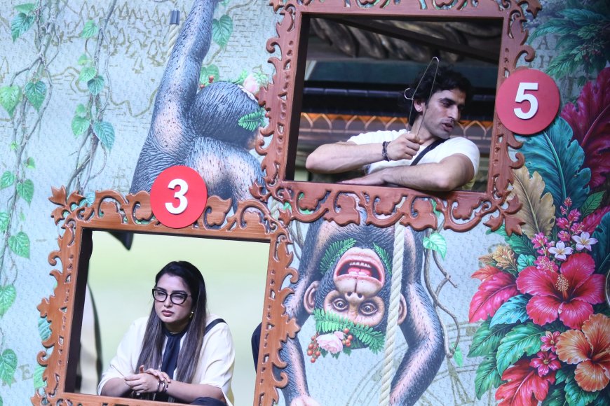 Bhojpuri Superstar Aamrapali Dubey Claims Third Spot in Bigg Boss 20 Ranking Task